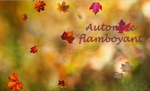 automne_flamboyant_mimi_40