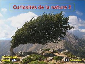 curiosites_de_la_nature_2_michel
