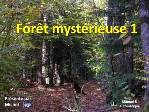 foret_mysterieuse_1_michel