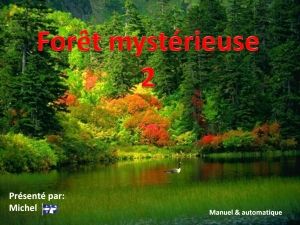 foret_mysterieuse_2_michel