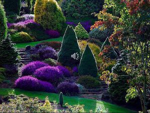 jardins_de_nouvelle_zelande