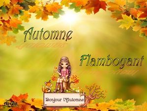 automne_flamboyant_dede_51