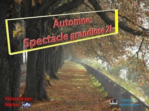 automne_spectacle_grandiose_2_michel