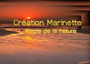 la_magie_de_la_nature_marinette