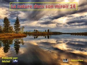 la_nature_dans_son_miroir_14_michel