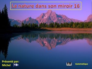 la_nature_dans_son_miroir_16_michel