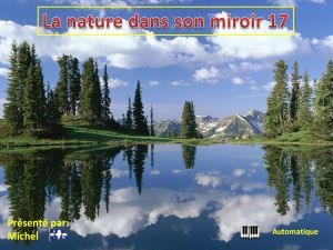la_nature_dans_son_miroir_17_michel