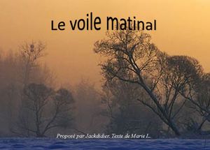le_voile_matinal_jackdidier