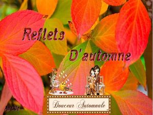 reflets_d_automne_dede_51