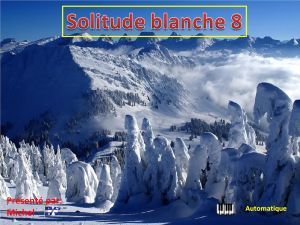 solitude_blanche_8_michel