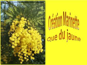 que_du_jaune__dans_les_images_marinette