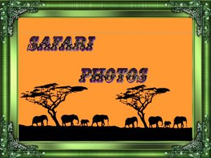 safari_photos