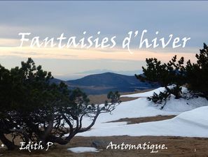 fantaisie_d_hiver__presentation_edith_p