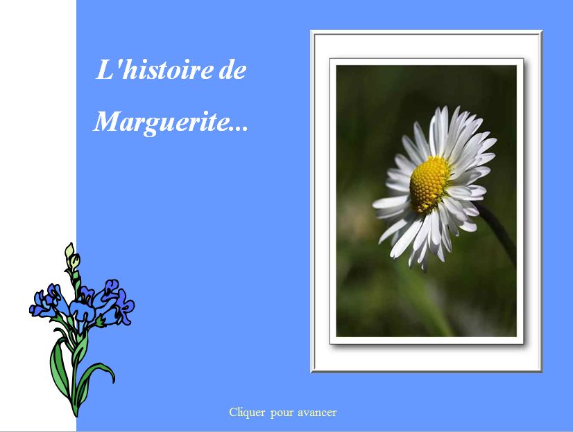 histoire_de_la_marguerite