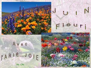 juin_fleuri_ariejoie