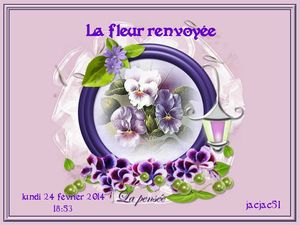 la_fleur_renvoyee_jacjac_51