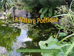 la_nature_poetique_jackdidier