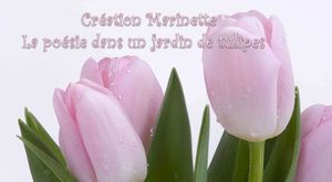 la_poesie_dans_un_jardin_de_tulipes_marinette