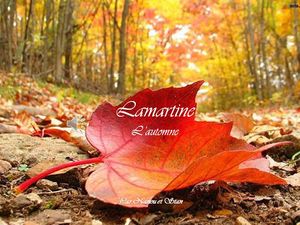 lamartine_l_automne_nanou_stan