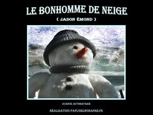 le_bonhomme_de_neige_papiniel