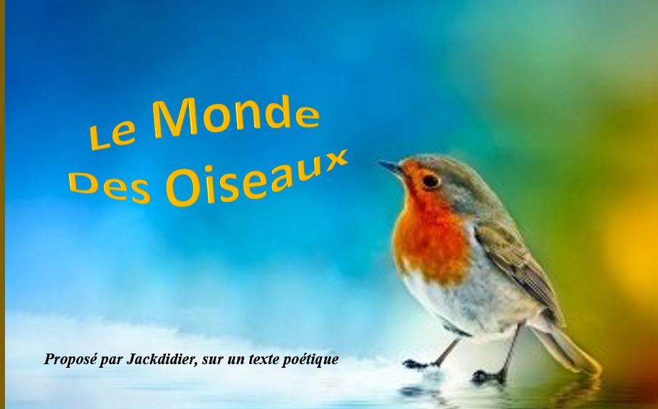le_monde_des_oiseaux_jackdidier