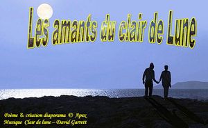 les_amants_du_clair_de_lune_apex