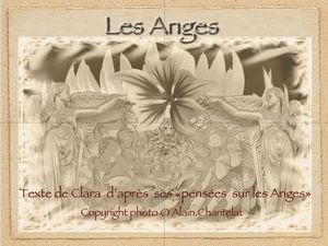 les_anges_2