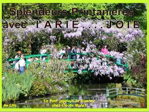 splendeurs_printanieres_ariejoie