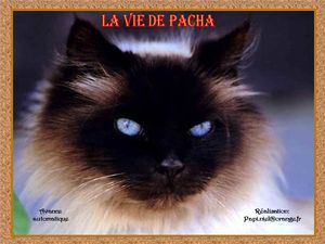 la_vie_de_pacha_papiniel