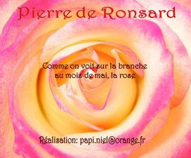 ronsard_quand_sur_la_branche_papiniel