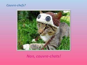 couvre_chats_reginald_day