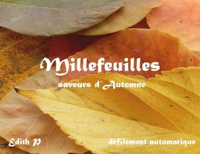 millefeuilles_edith_p
