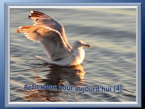 reflexions_pour_aujourd_hui_4_reginald_day
