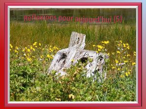 reflexions_pour_aujourd_hui_5_reginald_day