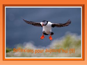 reflexions_pour_aujourd_hui_9_reginald_day