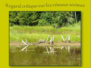 regard_critique_sur_les_reseaux_sociaux_reginald_day