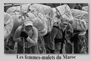 femmes_mulets_du_maroc_reginald_day