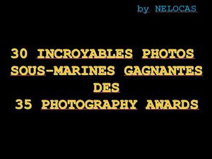 30_incroyables_photos_sous_marines_gagnantes_nelocas