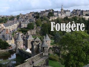 316_sh_fougeres