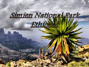 afrique_etiopie_parc_national_simien