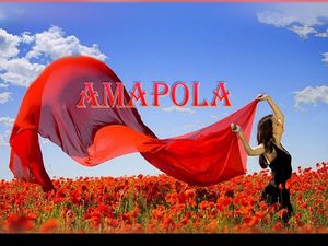 amapola__gilianne