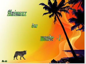 animaux_du_monde_1__dede_51