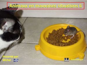 animaux_en_mauvaises_situations_6_michel