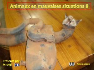 animaux_en_mauvaises_situations_8_michel