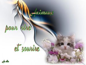 animaux_pour_rire_et_sourire_dede_51