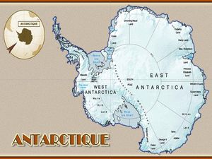 antarctique__steve
