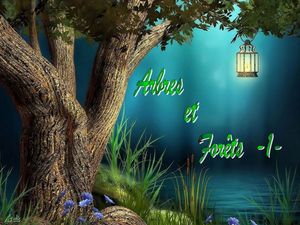 arbres_et_forets__dede_51