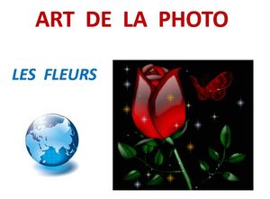 art_de_la_photo_les_fleurs