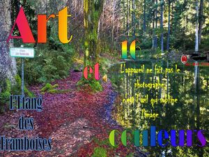 art_et_couleurs_15_etang_des_framboises__roland