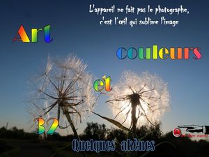 art_et_couleurs_32_quelques_akenes__roland